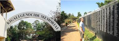 safari gallery image